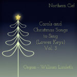 Carols and Christmas Songs to Sing (Lower Keys) Vol. 3